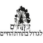 סמל כיס עץ החיים